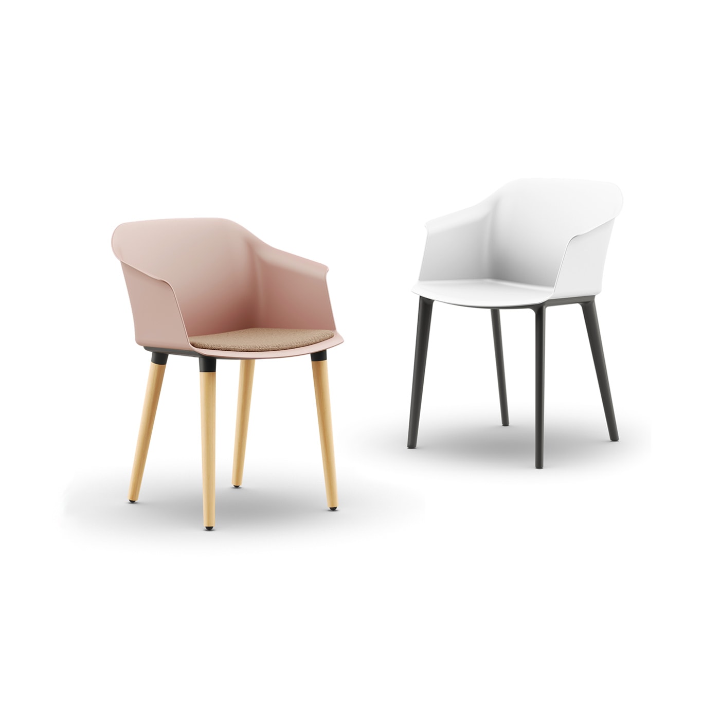 Aurora seduta ospiti e riunione