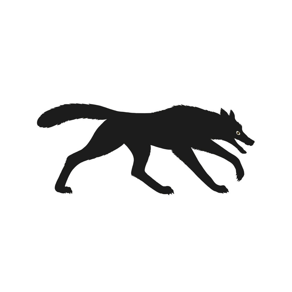 Danese Cinque il Lupo serigrafia - vendita online