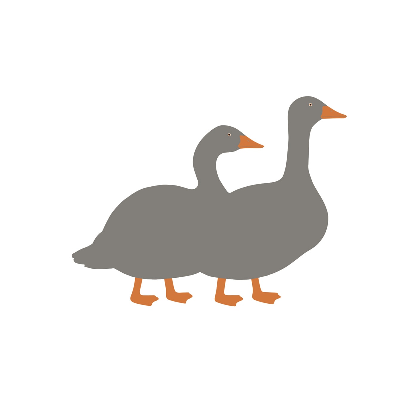 Due Oche Grigie serigrafia